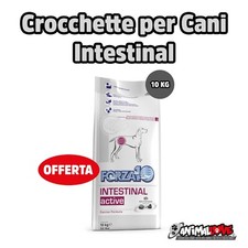 Crocchette per Cani Forza 10 Active Intestinal 10KG