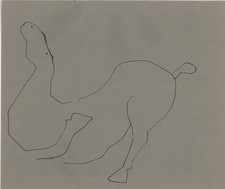 Marino marini cavallo - marino,