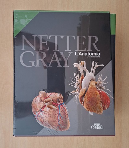 Netter gray anatomia - netter,