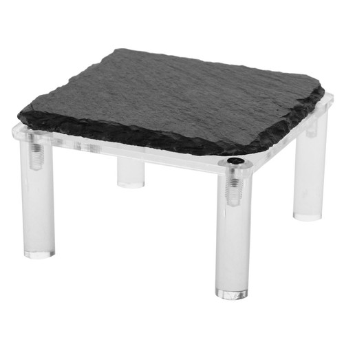 Lucertola basking rock recinto - basking,