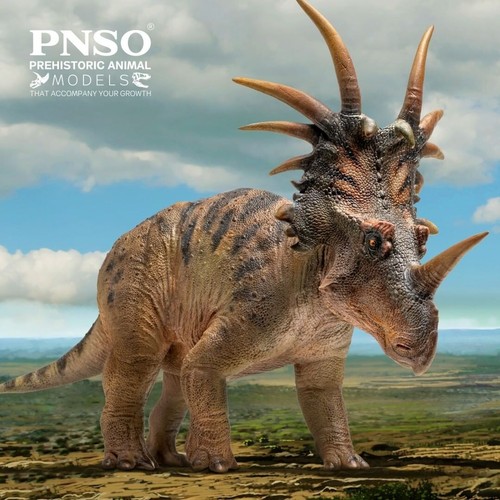 Pnso 2022 anthony - pnso,