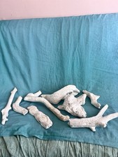 Legni Di Mare Dipinti