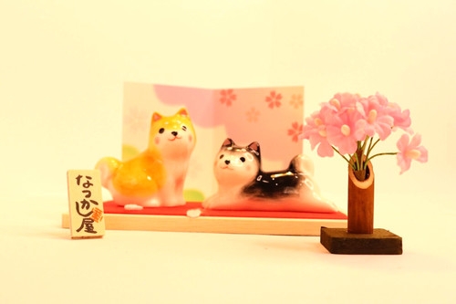 Shiba inu cani - shiba, giapponesi