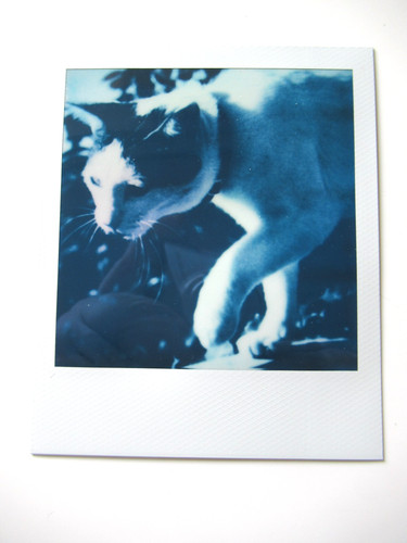 Araki polaroid originale - n.,