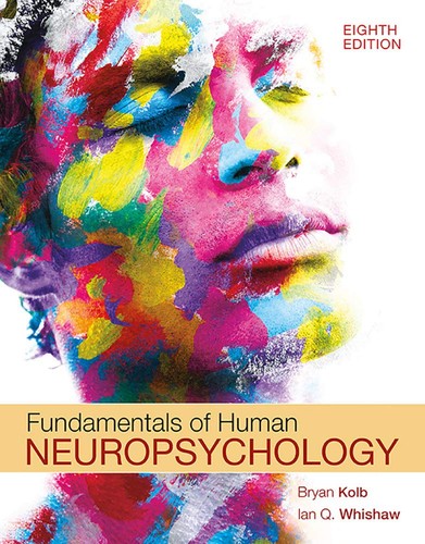 Fundamentals human - fundamentals, of