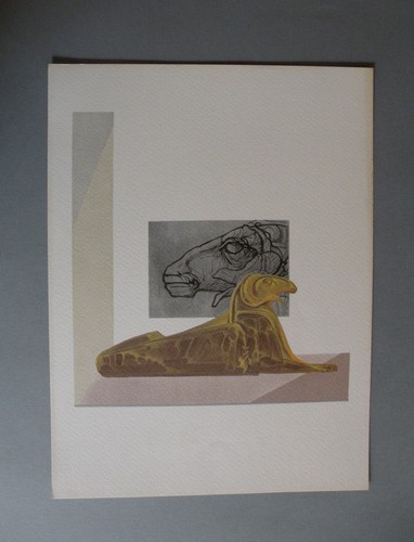 Fabrizio clerici riproduzione - clerici,