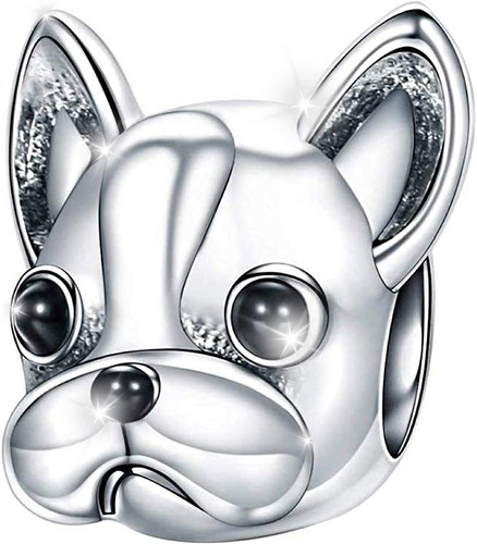 Charm new 2025 compatibile - charm,