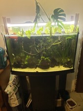 acquario 180l E Acquario 80l Pacco Unico 500€ Trattabili