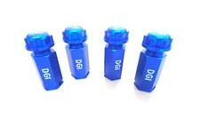 Prolunghe DGI 2" per losi 5 e