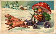 FUNGHI, CHAMPIGNONS, MUSHROOMS - Maialini e Bambini - VG - #090