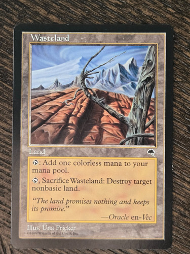 Wasteland tempest mtg - tempest,