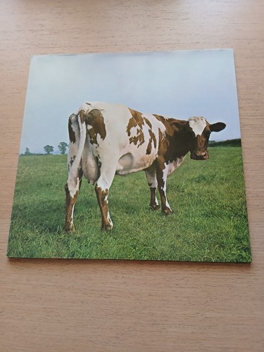 Pink floyd atom - floyd, mother