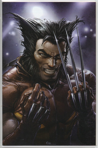 Wolverine serie limitata - serie,