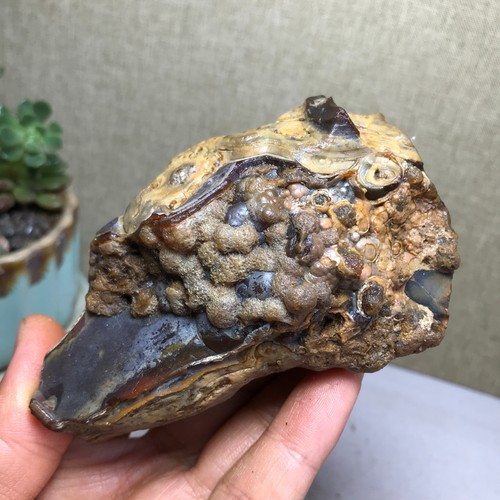 Bonsai naturale 181g suiseki - naturale,