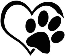 stikers adesivo adesivi auto