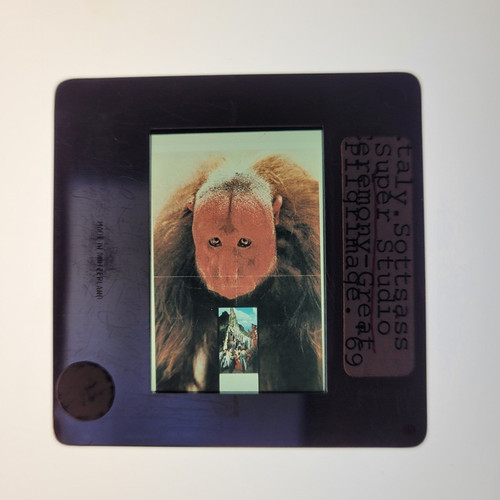 Superstudio sottsass grande - il,