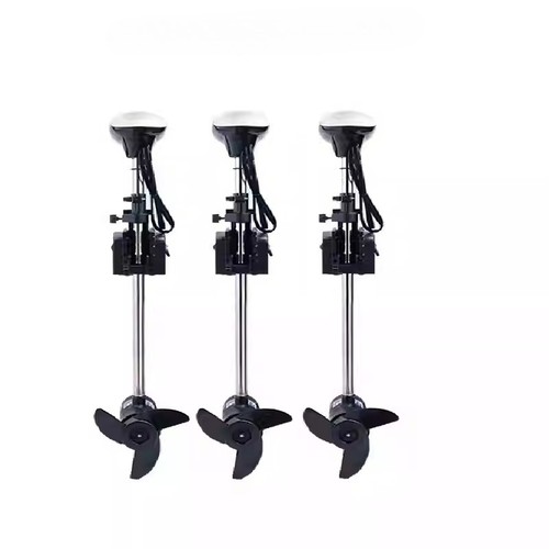 Motore fuoribordo elettrico - ,