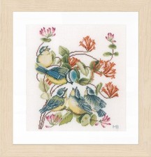 Chickadees Birds Berries Wild