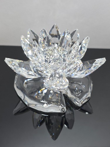 Swarovski grande ninfea large
