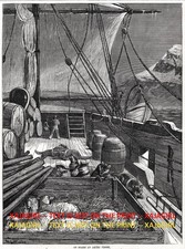 Dog Husky & Alaskan Malamute che gioca nave artica, 1870 stampa antica e articolo