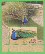 2013 FRANCOBOLLO PAVONE 2