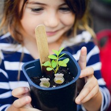  4 Pcs Mini Boccia Per Pesci