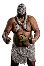 WRESTLING SUPERSTARS -