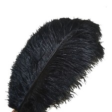 Piume di struzzo Sowder 10