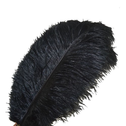 Piume struzzo sowder - piume,