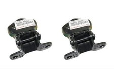 Cerniera porta portellone