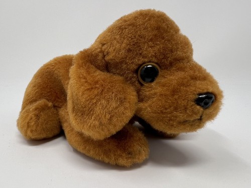 Russ petooties pets - russ, setter