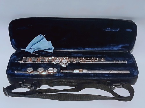 Flauto trevor james 10x iii - flauto,