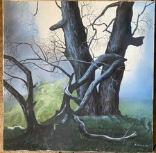Due alberi in ambiente - alberi,