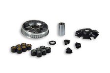 VARIATORE MALOSSI MULTIVAR