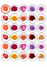 30 rose miste | festa della