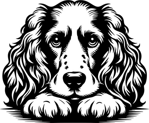 Adesivo cocker spaniel - adesivo,