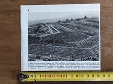 Catania Milo Azienda Nicolosi Asmundo 1970 stampa fotografica FAI UNA PROPOSTA