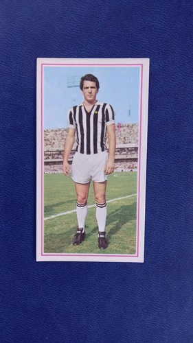Figurina bettega juventus - figurina,