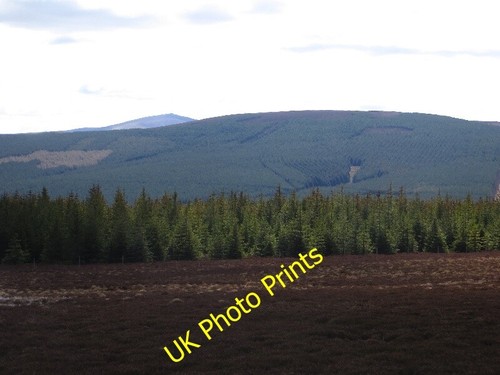 Photo 6x4 forest blackwater - forest,,