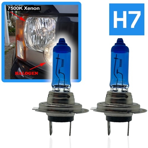 7500k xenon faro - h7,