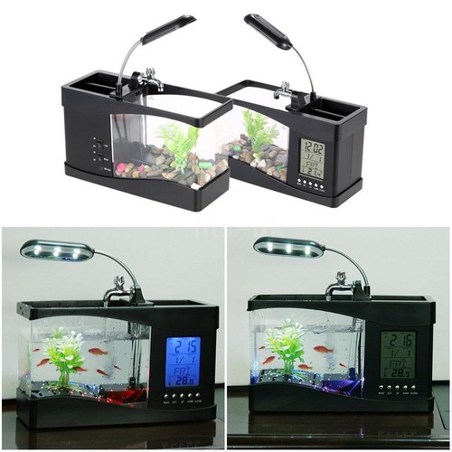 Mini acquario acquario pesci