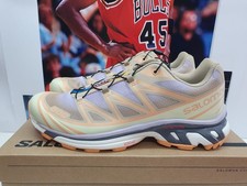 Salomon XT 6 S-Lab Skyline