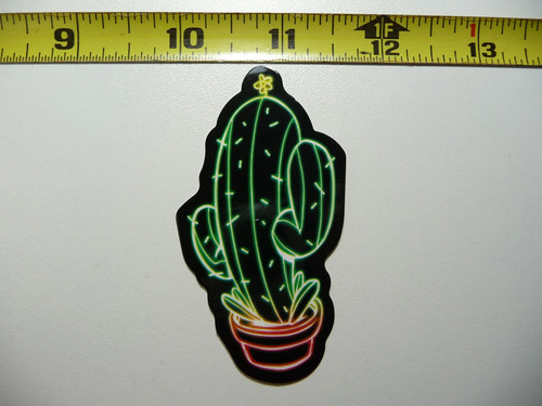 Cactus con fiore - cactus, stile