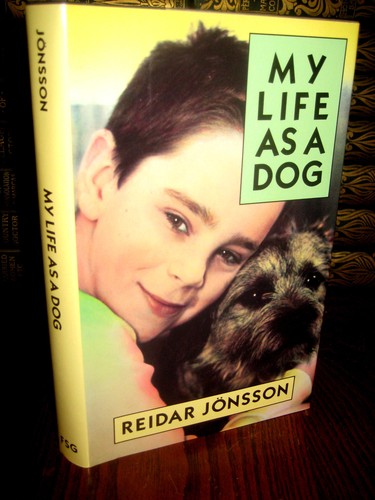Life dog reidar - as,