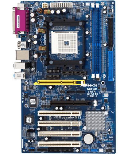 Scheda madre asrock - madre,