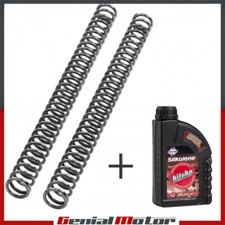 HONDA CRF 450 X 2010 SET MOLLE