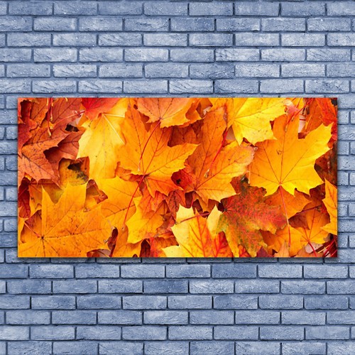 Quadri vetro quadro - quadri,