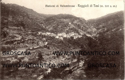 Raggioli tosi cod c1921 - tosi,