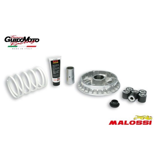 Variatore malossi multivar - malossi,