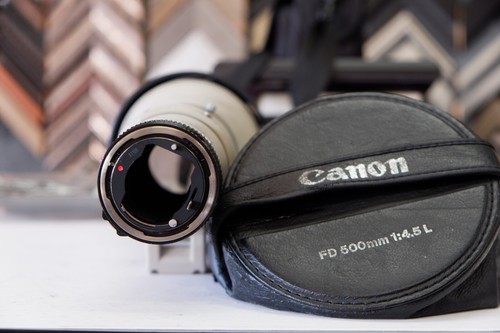 Teleobiettivo canon 500mm - teleobiettivo,